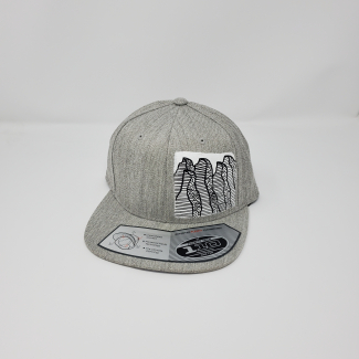 Grey snap back cap